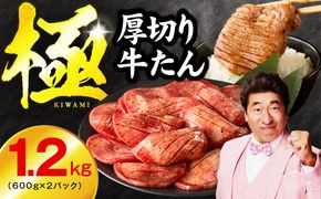 mrz0099 厚切り 牛たん 総量 1.2kg【氷温熟成×旨塩ダレ 600g×2P 焼肉用 訳あり サイズ不揃い】