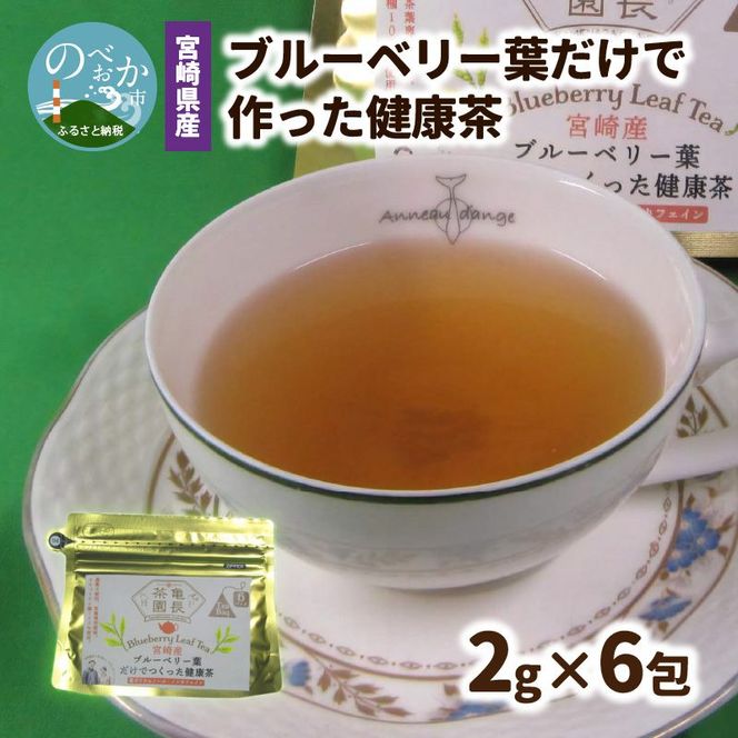 宮崎県産 ブルーベリー葉 だけで作った 健康茶 ポリフェノール　N048-YZA095