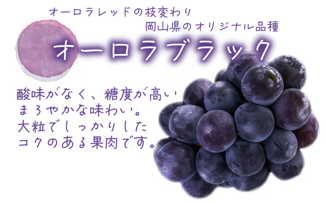 【2026年先行予約】岡山 花笑み農園の『シャインマスカット＆オーロラブラック』 1㎏（2房） 【hana067-02】