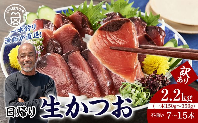 かつお一本釣り漁師が直送！ 日帰り生かつお 訳あり 2.2kg入 304018_DT06