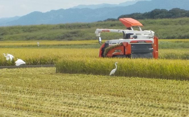 米 5kg 玄米 ゆめつくし お米 