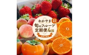 わかやま 旬の フルーツ 定期便【S】 全4回 / 有田みかん まりひめ いちご 桃 柿 ※北海道・沖縄・離島への配送不可【ard-tkb910】