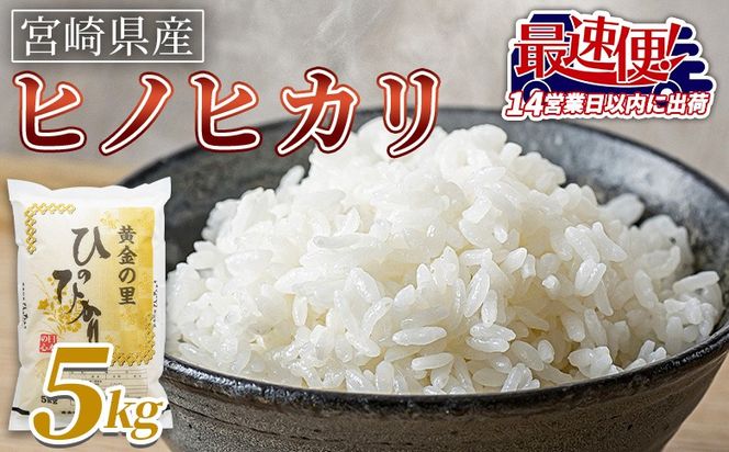 ＜宮崎県産米 ヒノヒカリ 5kg＞ 入金確認後、14営業日以内に順次出荷【 コメ 米 お米 白米 ご飯 飯 炊き立て こめ ひのひかり 宮崎県 県産 粒 炊き込みご飯 おにぎり 主食 】【b0919_su_x3】