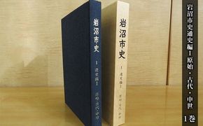 岩沼市史 第1巻通史編1 原始・古代・中世 本 発掘調査