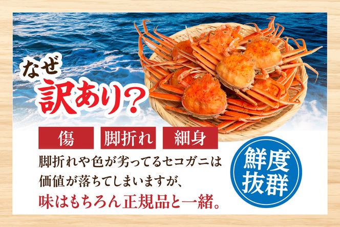 【訳あり 浜茹で セコガニ 香住産 大サイズ4匹入り】 冷蔵 カニの本場 香住 濃厚 ミソ やみつき 内子 外子 絶品 訳あり 指落ち 大人気  濃厚 香美町 柴山 山陰 日本海 国産 カニ ズワイガニ 松葉ガニ せいこがに メスガニ  爪 ほぐし ボイル 脚 鮮度抜群 茹で ボイル 蟹 かに カニ お取り寄せ ごちそう グルメ 贅沢 ご褒美  丸近  19-10