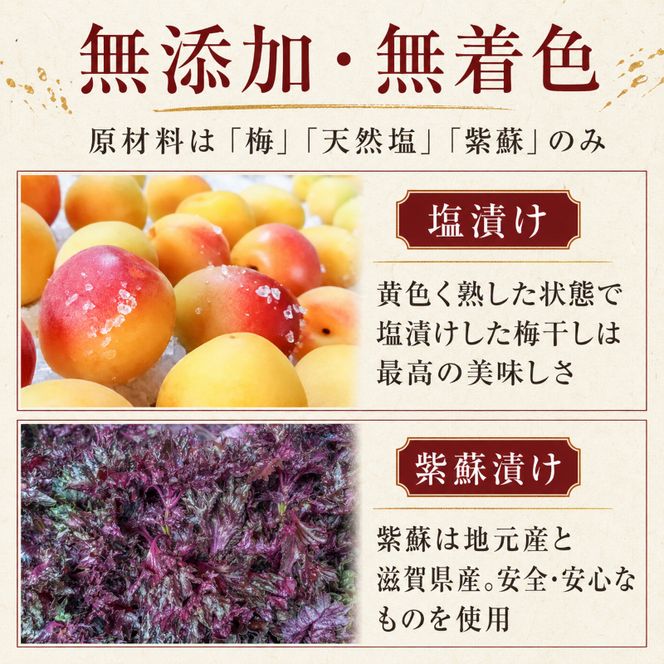 昔ながらの梅干し 一級品（福井県若狭町）伝統製法にこだわり仕上げた無添加・無着色の梅干し／ケース入り1kg ご飯のお供 肉厚 種が小さい 紅映 天然塩 鮮やか 芳醇な香り コク 紫蘇漬け 二度漬け すっぱい 国産 紅映梅 べにさし梅 福井梅 しそ梅