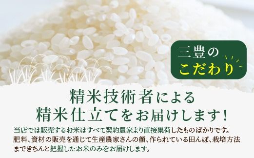 令和6年産　京都丹後産　特別栽培米ミルキークイーン5kg（5kg×1袋）　ST00051