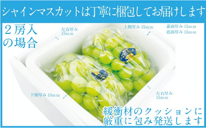 ぶどう 2026年 先行予約 シャイン マスカット 晴王 2房（合計約1kg） ブドウ 葡萄 岡山県産 国産 フルーツ 果物 ギフト デザート 食後 酸味が少ない 産地直送 [№5735-1679]