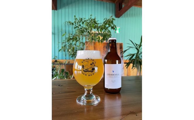 【ふるさと納税限定】TAPROOMでクラフトビール飲み放題！チケット 142069_HP005