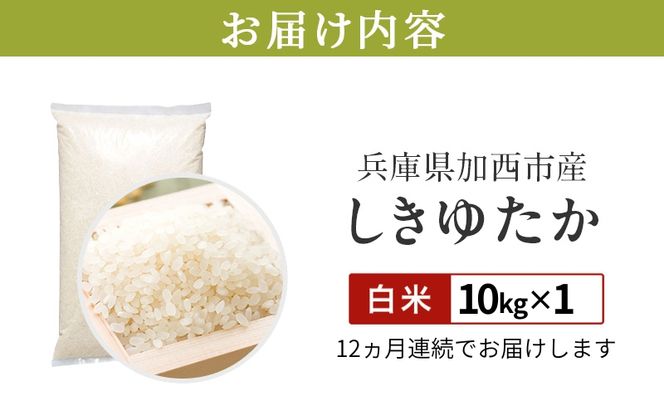 定期便【令和8年 先行受付】しきゆたか 白米 10kg 12か月連続お届け