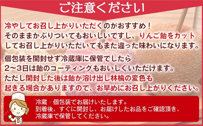 りんご飴 6種類から選べる3本セット 個包装 キャンディーシュガー レモンシュガー シナモンシュガー あまおう苺シュガー 紅茶シュガー ココアシュガー リンゴ 林檎 スイーツ おやつ お菓子 tt-0015