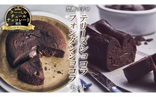 【 禁断の幸せ 】 フォンダンショコラ & テリーヌショコラ セット チョコ チョコレート 生チョコ ショコラ ケーキ デザート スイーツ テリーヌ 贈り物 贈答 ギフト バレンタイン ホワイトデー [CS008ci]