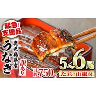 【0184359a】【緊急支援品】＜訳あり＞鰻の蒲焼き(無頭)(5～6尾・計約750g・タレ、山椒付) うなぎ ウナギ 鰻 国産 蒲焼 蒲焼き たれ 鹿児島 ふるさと 人気 支援 【アクアおおすみ】