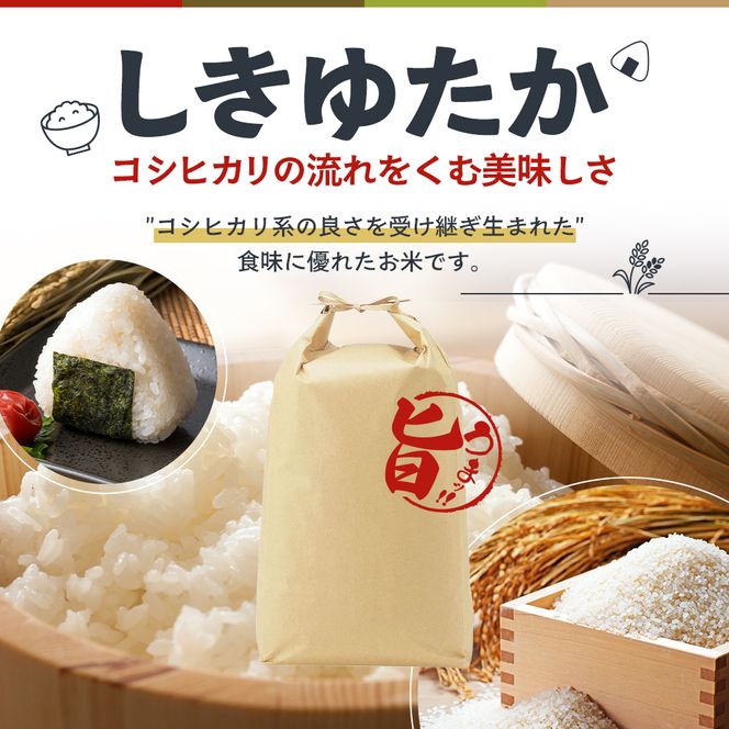 米 令和8年産 先行受付 しきゆたか 白米 5kg《2027年1月発送》 お米 精米 単一原料米 お弁当 おにぎり 冷めても美味しい 農業支援 就労者支援 日用品