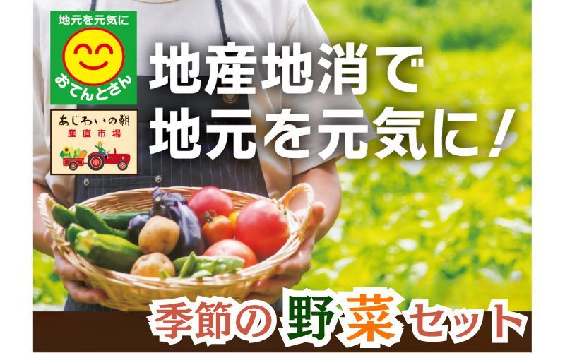 旬の野菜詰合せセット 選べる容量!/旬 野菜 詰め合わせ 国産 宮城産 熊本 涌谷町 送料無料