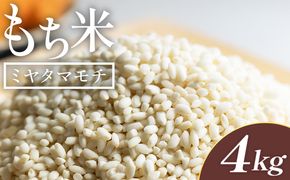 もち米 4kg - ミヤタマモチ 国産 餅 モチ  もちもち おもち おこわ おはぎ ぼたもち お雑煮 赤飯 米 お米 アレンジ 調理 高知県 香南市 常温 at-0070