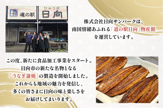 うなぎ 国産 日向極み うなぎ蒲焼 4尾 計480g以上 【たれ・山椒付き】 [日向サンパーク 宮崎県 日向市 452061501] ギフト 小分け 真空パック 鰻 ウナギ うなぎの蒲焼 蒲焼 蒲焼き