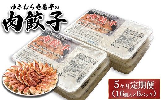 【5ヶ月定期便】ゆきむら壱番亭の肉餃子6パック(96個入り) ※離島への配送不可