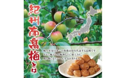 紀州南高梅　＜つぶれ梅＞うす塩2kg【ハチミツ入】塩分10%　なかやまさんちの梅干　うめ　ウメ【nky015-120k】