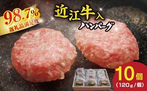 近江牛入（生）ハンバーグ【1.2kg（120ｇ×10個）】【AG09W】