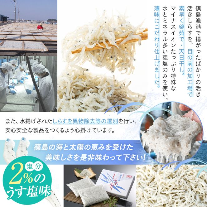 篠島産しらす干し1kg