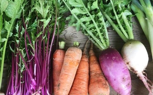 ひばり農園の無農薬ワクワク野菜セット《6月より発送開始》 【289】