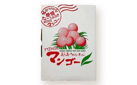 【先行予約】【数量限定】石垣島産ミニマンゴー 【マンゴー ミニマンゴー フルーツ 沖縄県 石垣市 沖縄県石垣市 トロピカル デザート 産地直送 旬 石垣島産 マンゴー 完熟マンゴー 】HI-4
