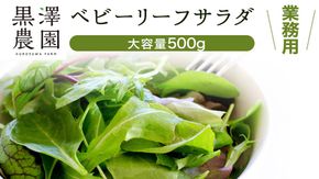 【 業務用 】 黒澤農園 の ベビーリーフサラダ 500g 大容量タイプ 業者向け ベビーリーフ サラダ 生野菜 食べやすい 若葉 ファミリー 旬 新鮮 国産 彩り パーティー 大量 お得パック [DS06-NT]