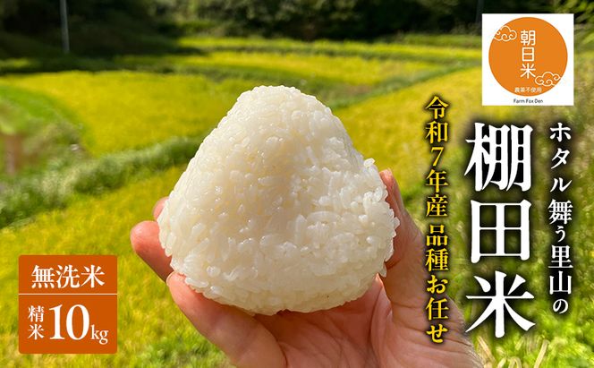 品種お任せ 令和7年産 ホタル舞う里山の棚田米 無洗米 精米10kg ひとめぼれ2kg又は朝日2kgを計5袋