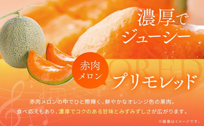 【先行予約】956.【ふるさと納税】青肉メロンディーバと赤肉メロンプリモレッドのセット ※日本全国配送可能  2026年10月上旬頃～11月上旬頃に順次発送予定 313726_BQ012