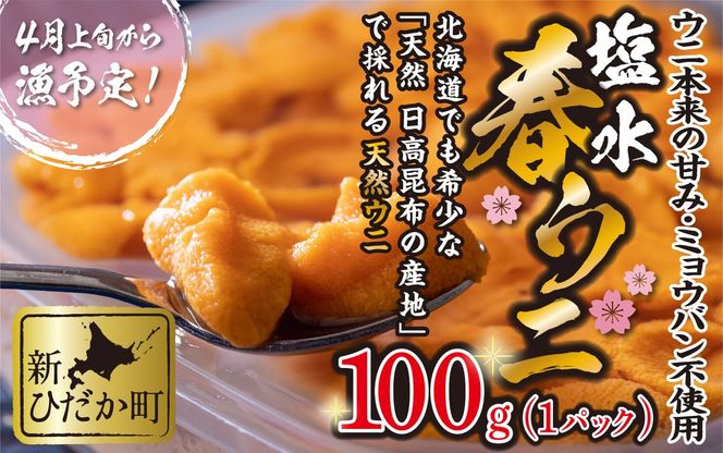 ＜ 2026年4月上旬より発送 ＞ うに 北海道 100g 使用するのは塩水のみ 日高沖産 塩水 生雲丹 春ウニ エゾバフンウニ ＜ 予約受付 ＞