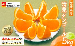 【先行予約】産地直送！愛媛県産清見タンゴール 5kg（2027年2月上旬より順次発送） IKTF022