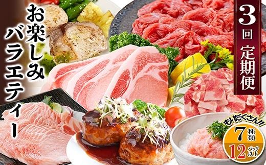 定期便3回配送 お楽しみバラエティー OO-0004 