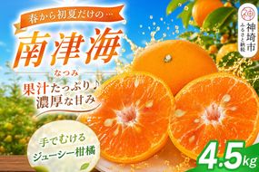 【2027年4月上旬より発送開始】南津海(なつみ)みかん 4.5kg【みかん 柑橘 オレンジ ポンカン フルーツ デザート 果汁】(H116156)