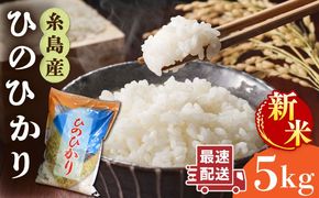 【年内発送】【令和7年産新米】 糸島産 ひのひかり 5kg 糸島市 / 三島商店 [AIM003] 米 お米 ご飯 白米 ヒノヒカリ ひのひかり おにぎり 朝食 夕食 九州 福岡