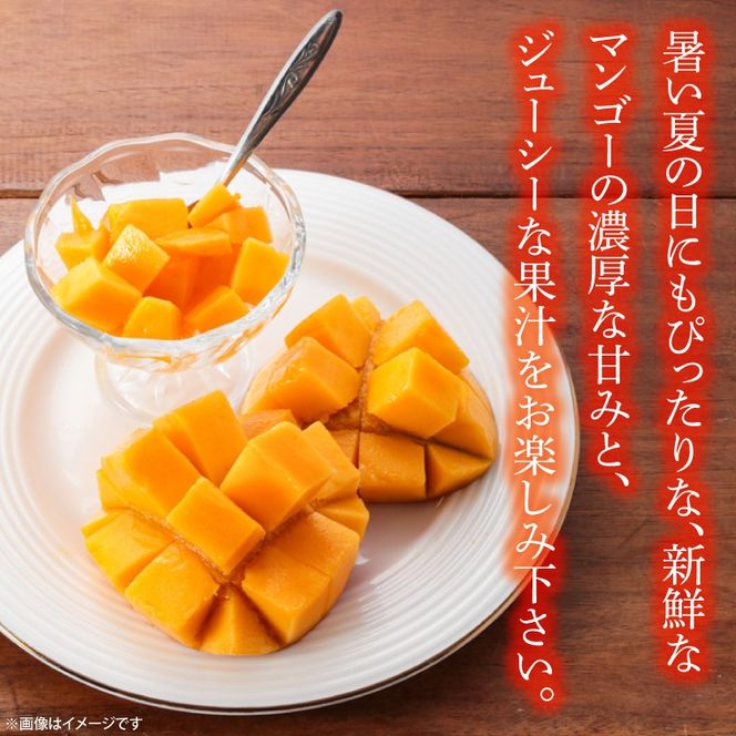 【先行予約】【数量限定】益恋 マンゴー 約1kg（2～3玉）| 7月中旬より順次発送 マンゴー フルーツ 果物 新鮮 旬 益子町産 (CA005)