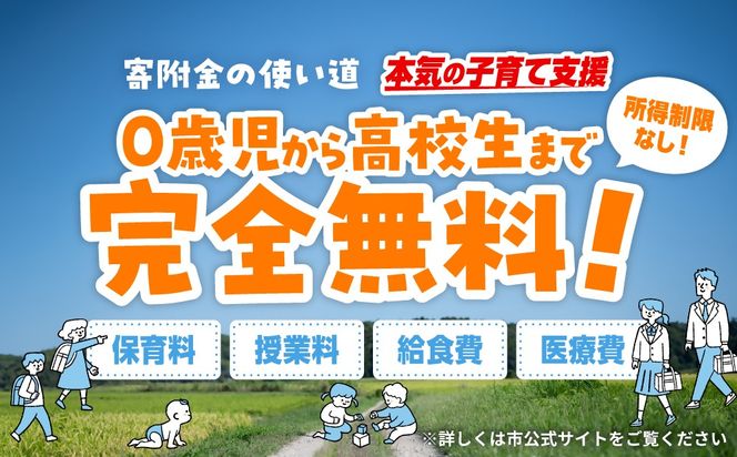 ふるさと納税で子育て支援！(返礼品なし・賛同型寄付）1,500円 【子育て支援限定使い道】大分県豊後高田市