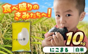 ＼11月～選べる配送月／にこまる　白米　10kg　お米　ご飯　愛西市／株式会社戸倉トラクター[AECS056]