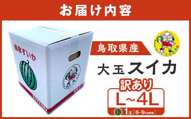 1115.鳥取県産 大玉スイカ 訳あり 1玉 6-9キロ前後L-4L（こちらの返礼品は、大栄西瓜ではありません） 313726_CK001