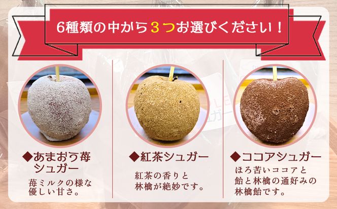 りんご飴 6種類から選べる3本セット 個包装 キャンディーシュガー レモンシュガー シナモンシュガー あまおう苺シュガー 紅茶シュガー ココアシュガー リンゴ 林檎 スイーツ おやつ お菓子 tt-0015