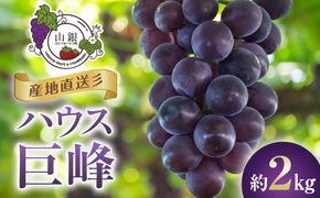 ★お届けは2026年8月から！★産地直送ハウス巨峰約2kg 232238_A018-PR