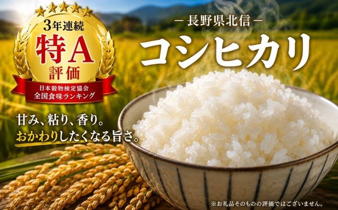 【先行予約】《 令和８年産 新米 》 こしひかり 精米 10kg（5kg×2袋） 瑞穂 豊米《 2026年10月上旬より出荷 》(Cl-002） 