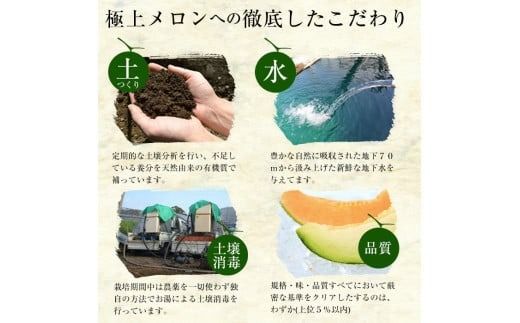 【春限定】極上メロン「秘蔵っ娘」赤玉・白玉 計2個(赤肉・青肉 各1個) b5-033-s