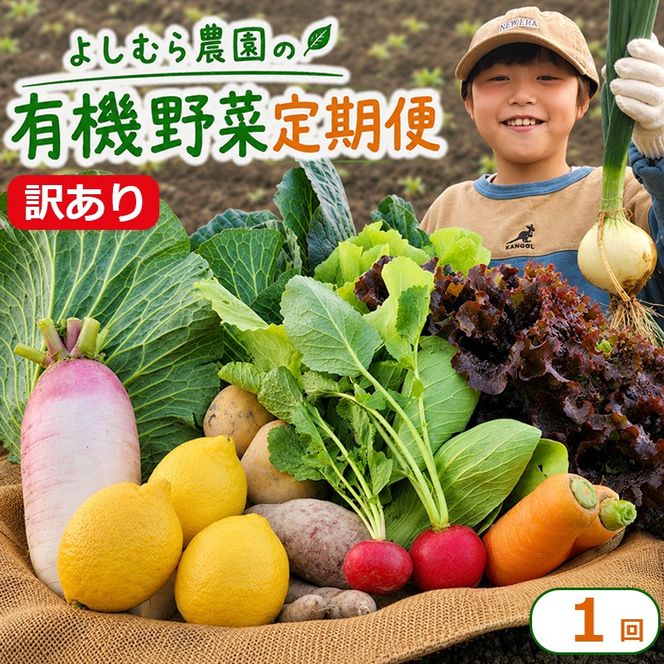 訳あり 野菜 詰め合わせ 6種 よしむら農園 オーガニック 有機 有機野菜 やさい ベジタブル おまかせ セット 一人暮らし おすすめ レタス とうもろこし トマト 有機栽培 JAS 栄養 贅沢 国産 大容量 人気 新鮮 今が旬 香川県 丸亀市