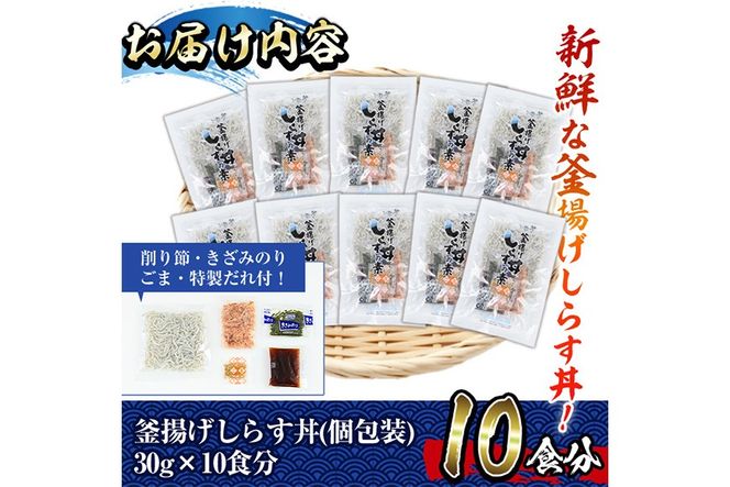 宮崎日向灘どれ釜揚げしらす丼(10食分)魚 小魚 魚介類 小分け シラス おつまみ カルシウム 釜揚げ 冷凍 海鮮丼 【E-10】【水永水産】