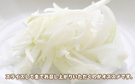 淡路島産　新たまねぎ　4ｋｇ【発送時期：2026年3月～5月頃】