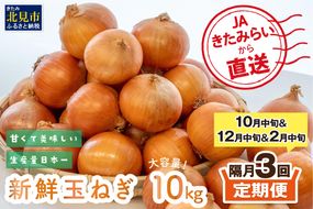 【隔月3回(10月・12月・2月)定期便】JAきたみらいから直送する新鮮玉ねぎ 10kg Lサイズ以上 ( 野菜 定期便 玉葱 たまねぎ 期間限定 )【999-0147-2026】