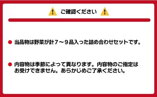 むなかた旬のお任せセット(野菜) 7～9品【JAほたるの里】_HA1569