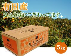 有田みかん  5kg　早生　秀  サイズ混合　安心と味にこだわった  則為園   E008