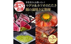 【CF-R7hbk】t129kyf-kgp　コロナ支援事業者さんを救いたい3か月定期便／1回目：マグロの漬け丼、2回目：芸西村本気極カツオのたたき（2～3人前）×2節、銀象ソルト+有機無添加土佐にんにくぬた、3回目：本気の高知ブランド鰻「西岡うなぎ」～並～うなぎの蒲焼き2尾セット（約250g）